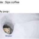 koffie poep meme