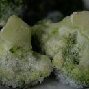 eten vriezer bevroren broccoli's